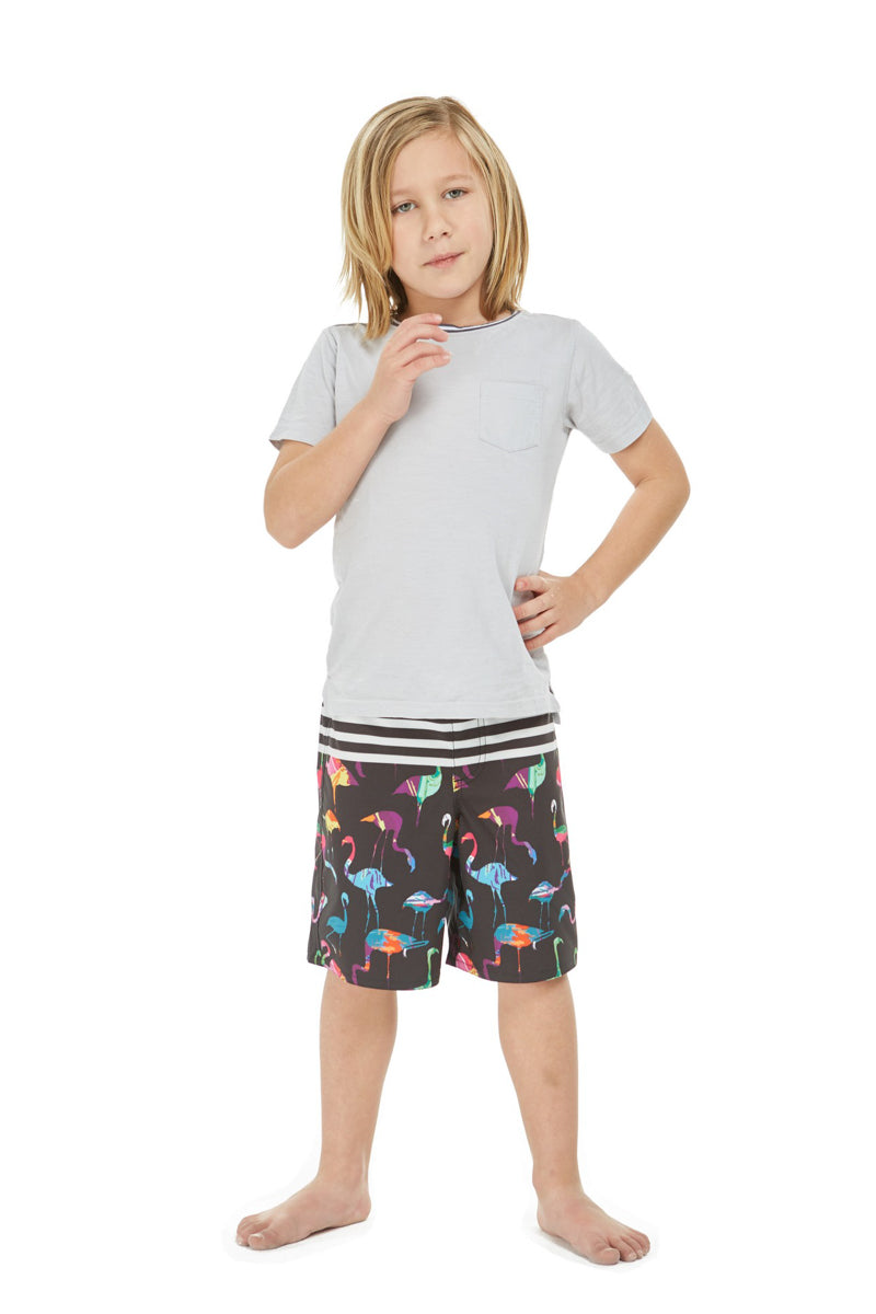 sports-gear-for-boy-hawaiian-board-shorts-in-flamingo-party-hot-on-sale_0.jpg